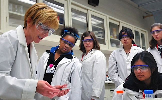 STEM: Helping women move ahead